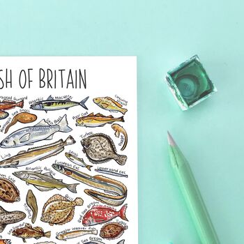 Sea Fish Of Britain Watercolour Postcard, 7 of 9