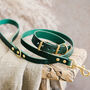 Personalised Leather Dog Collar And Lead Set, thumbnail 1 of 6