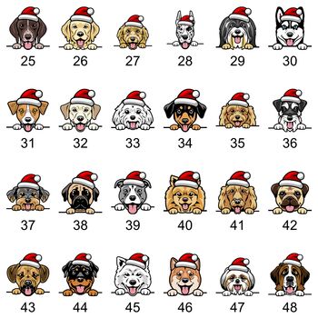 Personalised Dog Christmas Wrapping Paper, 3 of 4