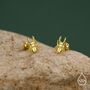 Sterling Silver Beetle 18 G Screw Back Stud Earring With Ball Back, thumbnail 6 of 10