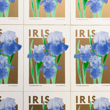 Iris Floral Illustration Riso Print, 4 of 5