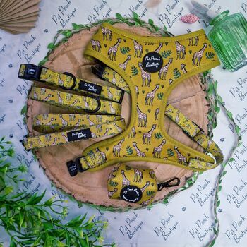 Wild Giraffe Dog Collar With Optional Set, 6 of 7