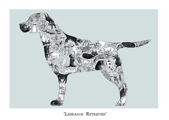 Labrador Retriever, 2 of 4