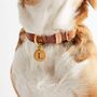 Personalised Brass Dog ID Tag, thumbnail 3 of 3