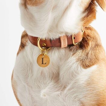 Personalised Brass Dog ID Tag, 3 of 3