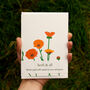 Welsh Pot Marigold Illustrated Card With Seeds, thumbnail 1 of 8