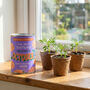 Personalised October Grow Your Own Flower Gift, thumbnail 3 of 4