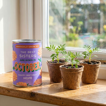 Personalised October Grow Your Own Flower Gift, 3 of 4