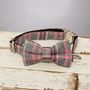 The Winchester Grey Pink Checked Dog Bow Tie Lead Set, thumbnail 7 of 7