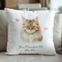 Personalised British Longhair Cat Love Hearts Cushion Cover, thumbnail 2 of 2