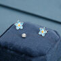 Sterling Silver Forget Me Not Flower 18 G Screw Back Stud Earrings With Ball Backs, thumbnail 5 of 11