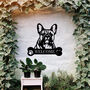 Custom French Bulldog Welcome Metal Wall Art Gift For Dog Lovers Home Or Garden Decor, thumbnail 1 of 11