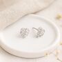 Sterling Silver Monstera Leaf Stud Earrings – 8mm, thumbnail 1 of 7