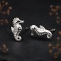 Sterling Silver Seahorse Stud Earrings, thumbnail 2 of 9