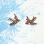Swallow Silver Stud Earrings On A Gift Card, thumbnail 4 of 10