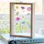 Personalised Pressed Flower Frame, thumbnail 3 of 5