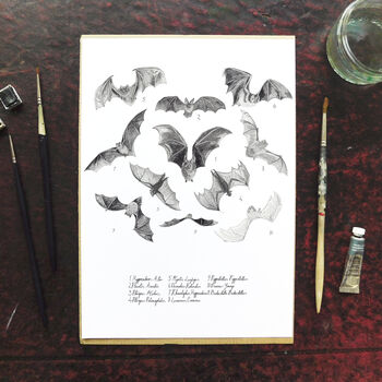 Chiroptera Bat Art Print, 2 of 7