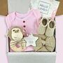 New Baby Girl Gift Box, thumbnail 1 of 6