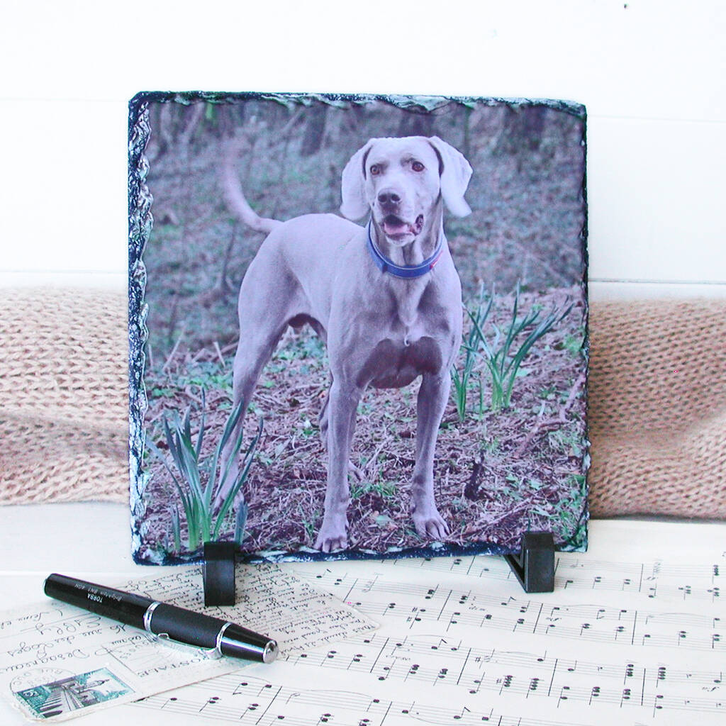 Large Photo Printed On Real Slate By Bags Not War