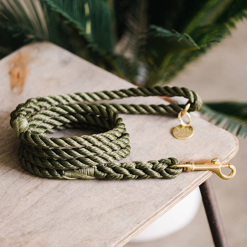 Waterproof Rope Dog Lead With Brass Hardware, 1 of 7