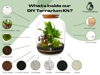 Complete Terrarium Kit Diy | 'Bonn', 3 of 11