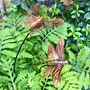 Set Of Two Copper Insect Garden Stakes – Butterfly And Dragonfly On Curved Poles, thumbnail 4 of 7