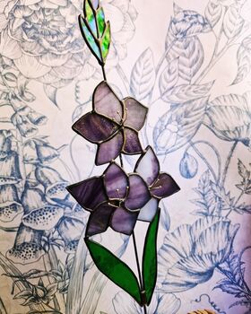 Gladiolus Flower Stem Purple, 3 of 7