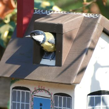 Personalised Cottage Bird Box, 7 of 8
