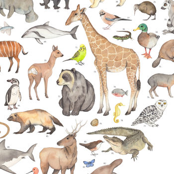 100 Animals A2 Print, 4 of 5