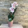 White Artificial Silk Orchid Pink Pot Mothers Day Gift, thumbnail 5 of 6