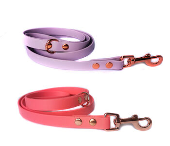 Biothane Dog Collar Or Lead Optional Fittings, 4 of 7