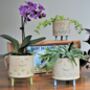 Personalised Ceramic Tripod Face Planter With Leaves, thumbnail 4 of 8