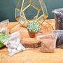 Gold Geometric Terrarium Kit With Succulent Plant Lover Gift, thumbnail 9 of 12