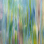 One For Sorrow, Two For Joy…, thumbnail 7 of 10