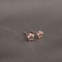 Tiny Little Paws Earring Studs, thumbnail 5 of 5