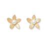 Vita Gold Flower Stud Earrings With Freshwater Pearls, thumbnail 2 of 3