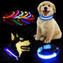 LED Light Up Dog Collars, thumbnail 1 of 9