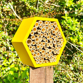 Yellow Bee Hive Insect Hotel And Bug House, 2 of 9