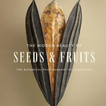 Luxury Book Of The Hidden Beauty Of Seeds And Fruits, 2 of 5