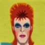 David Bowie Tapestry Kit With 100% British Wool, thumbnail 4 of 6