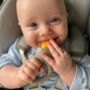 Baby Weaning Foodie Feeder, thumbnail 9 of 12