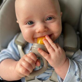 Baby Weaning Foodie Feeder, 9 of 12