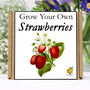 Gardening Gift. Grow Your Own Strawberry Plant Kit, thumbnail 1 of 6