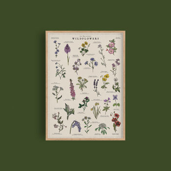British Wildflower Botanical Print, 2 of 11