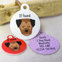 Border Terrier Personalised Dog ID Tag, thumbnail 1 of 12
