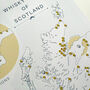 Scotland Scotch Whisky Map Regions And Distilleries 24, thumbnail 8 of 8