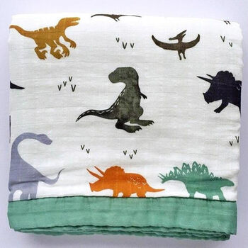 Four Layer Dino Bamboo Blanket, 2 of 4