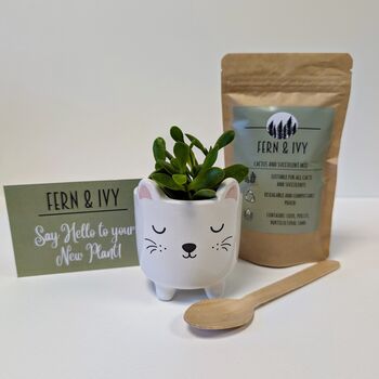 Plant Your Own Succulent Kit With Cat Pot, 4 of 5