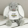 Personalised Easter Bunny With T Shirt, thumbnail 2 of 3