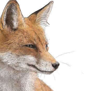 Fox Giclée Art Print, 2 of 3
